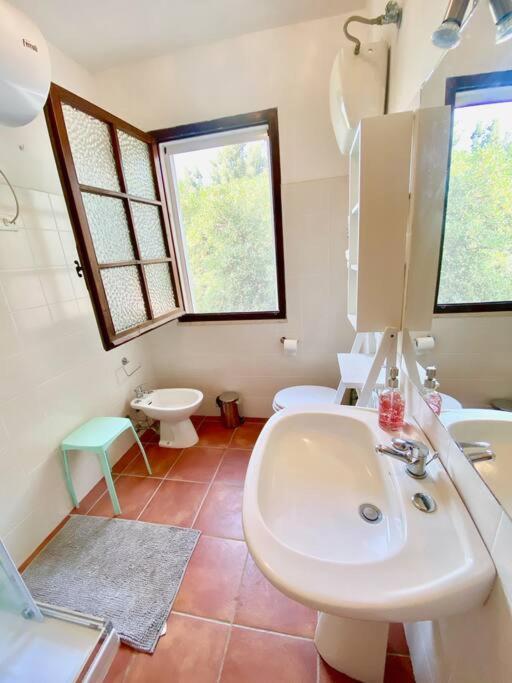 Porto Columbu - Perd'E Sali Paradise Beachfront Villa, Porto Columbu, Sardinia מראה חיצוני תמונה